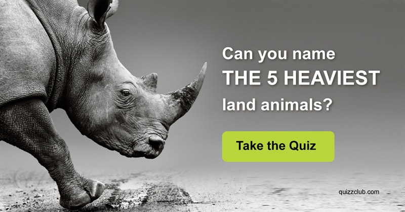 Nature Quiz Test: Can you name the 5 heaviest land animals?