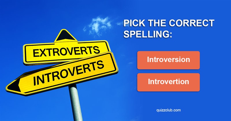 language Quiz Test: 9 In 10 Introverts Got 23/23 In This Spelling Test
