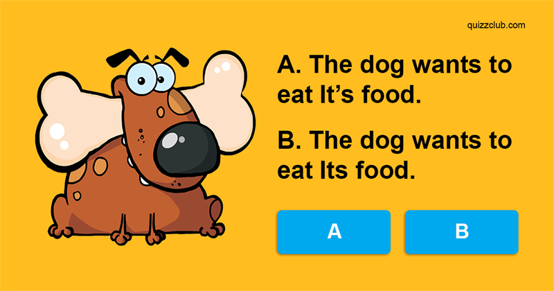 language Quiz Test: Only Grammar Masters Can Pass This Apostrophe Test!