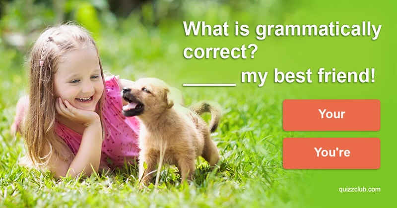 language Quiz Test: The Grammar Quiz For People Who Like Pictures Of Cute Kittens and Puppies