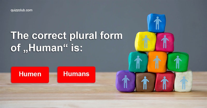 language Quiz Test: This Elementary Plural Forms Test Is Driving The Internet Crazy