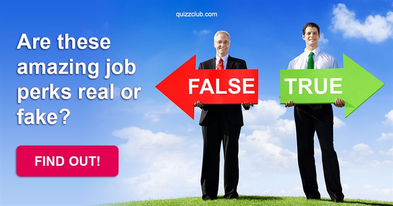 Society Quiz Test: Are these amazing job perks real or fake?