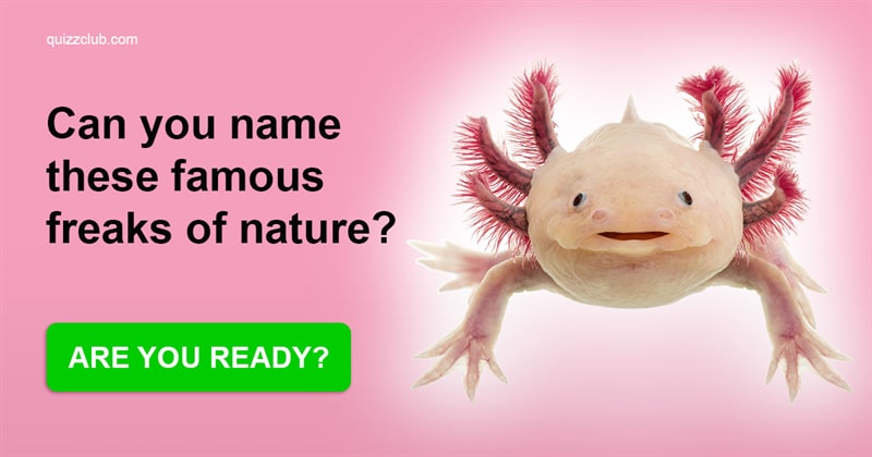 Nature Quiz Test: Can You Name These Famous Freaks Of Nature?