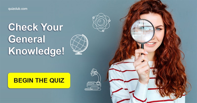 knowledge Quiz Test: Attention: This Test Will Reveal The Whole Truth About Your Knowledge!