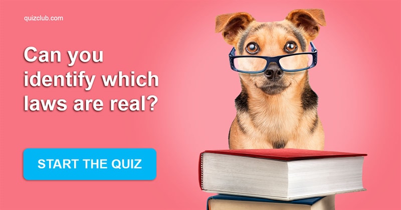 knowledge Quiz Test: Can you identify which laws are real?