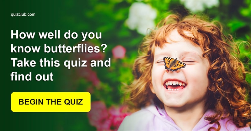 animals Quiz Test: How well do you know butterflies? Take this quiz and find out
