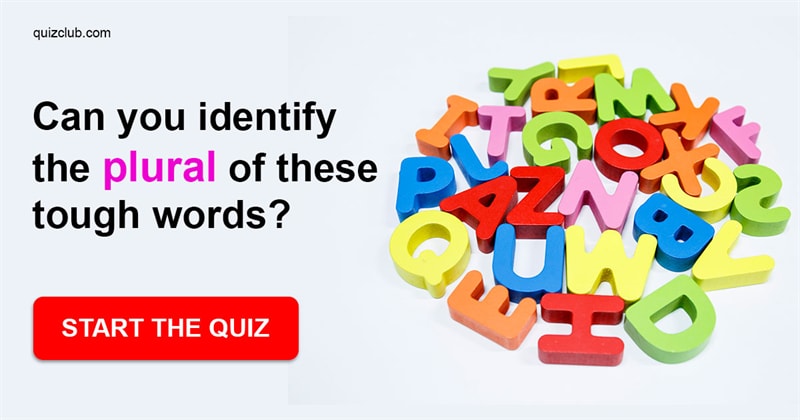 language Quiz Test: Only Americans With An IQ Higher Than 144 Can Identify The Plural Of These Tough Words