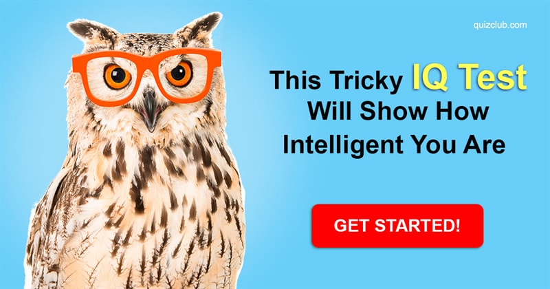 IQ Quiz Test: This Tricky IQ Test will Show How Intelligent You Are