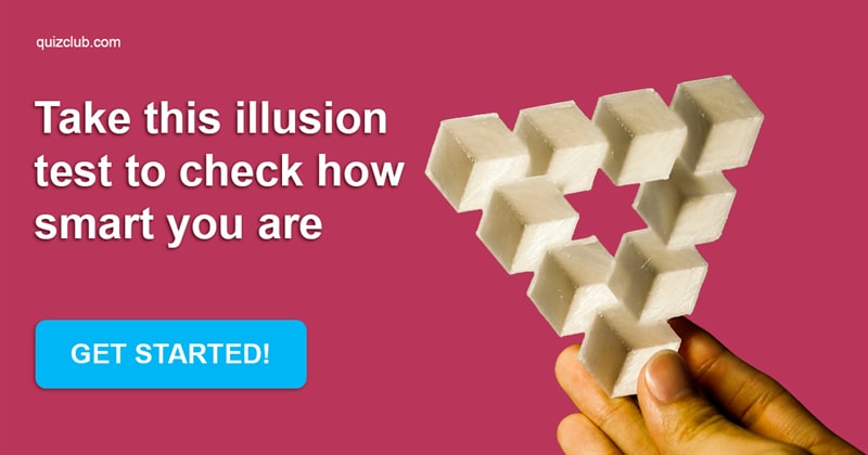 IQ Quiz Test: What Is Your Level Of Education? Take This Illusion Test To Find Out!
