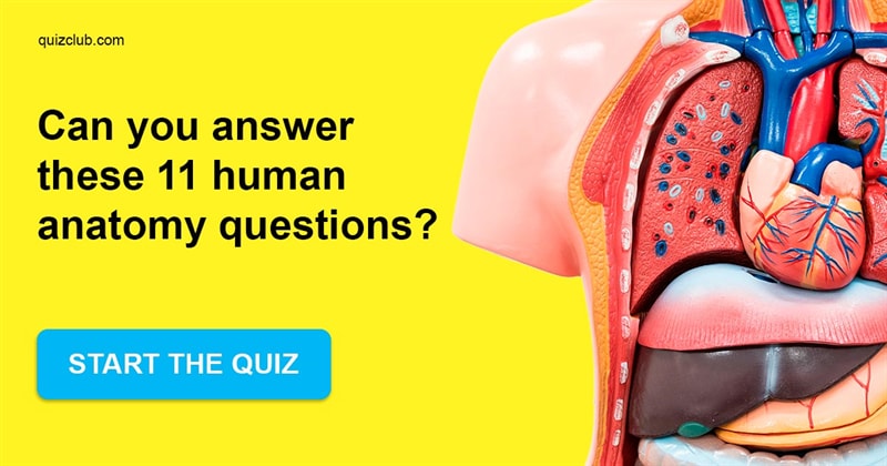 Science Quiz Test: Your IQ Is Higher Than 149 If You Can Answer These Human Anatomy Questions