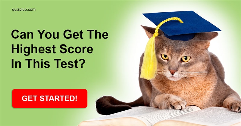 knowledge Quiz Test: Can You Get The Highest Score In This Mixed Knowledge Test?