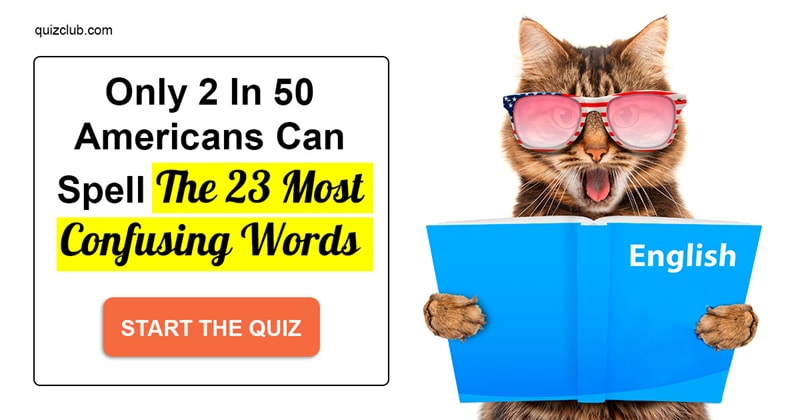 language Quiz Test: Only 2 In 50 Americans Can Spell The 23 Most Confusing Words
