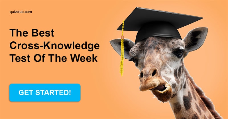 IQ Quiz Test: The best cross-knowledge test of the week