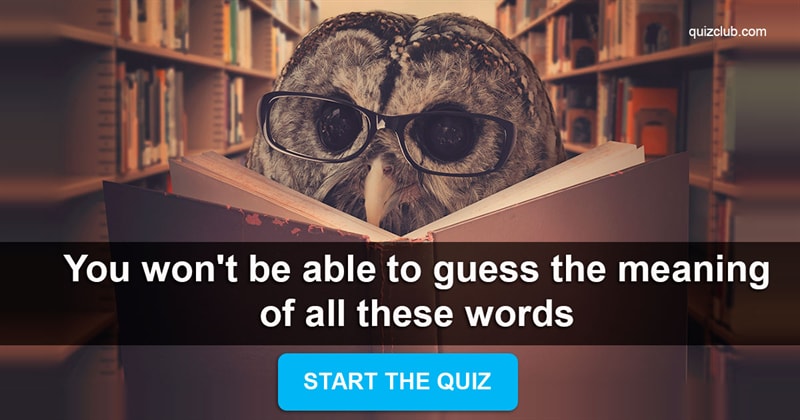 language Quiz Test: You won't be able to guess the meaning of all these words