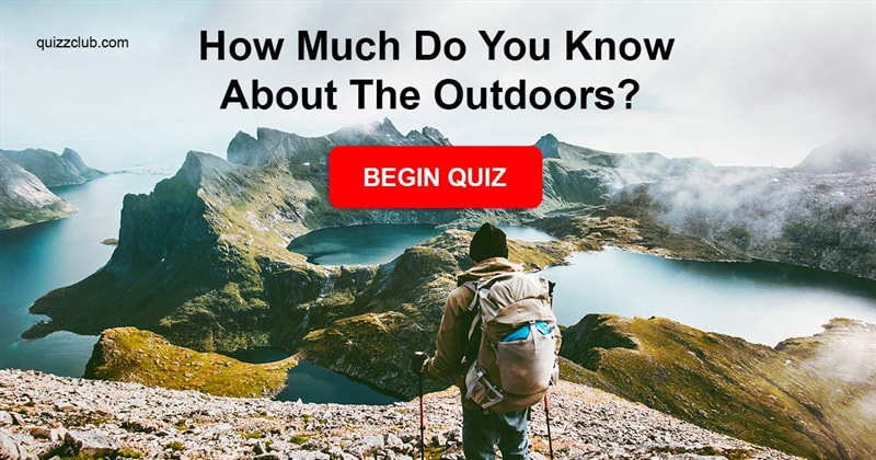 Nature Quiz Test: How Much Do You Know About The Outdoors?