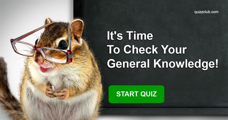 knowledge Quiz Test: It's Time To Сheck Your General Knowledge!