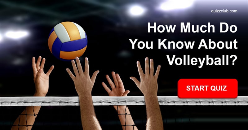 Sport Quiz Test: How much do you know about volleyball?