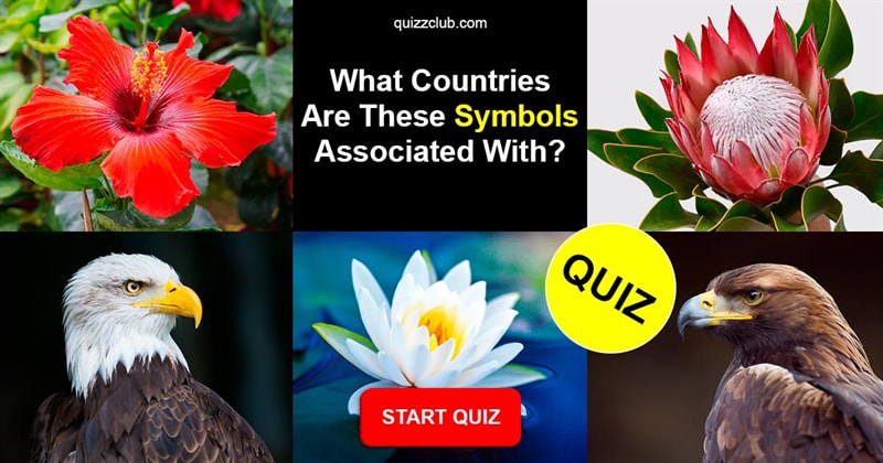 Geography Quiz Test: What countries are these symbols associated with?