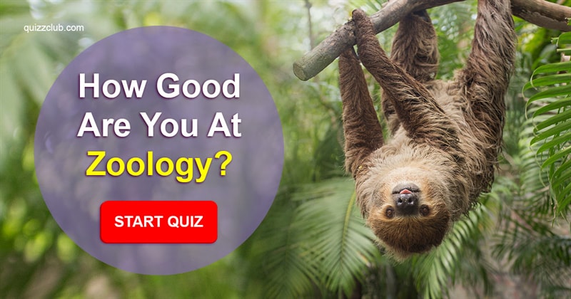 animals Quiz Test: How Good Are You At Zoology?
