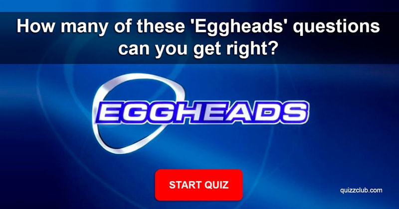 Movies & TV Quiz Test: How many of these 'Eggheads' questions can you get right?