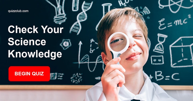 Science Quiz Test: Are You Better At Science Than A Sixth Grader?