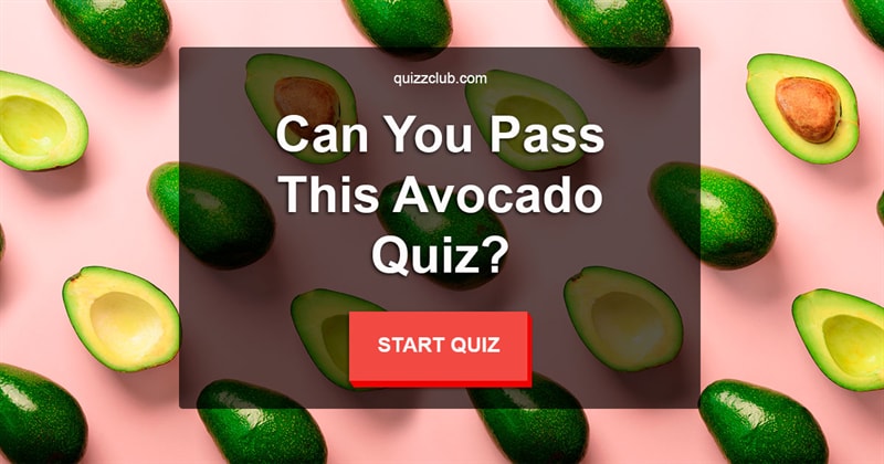 knowledge Quiz Test: Can You Pass This Avocado Quiz?