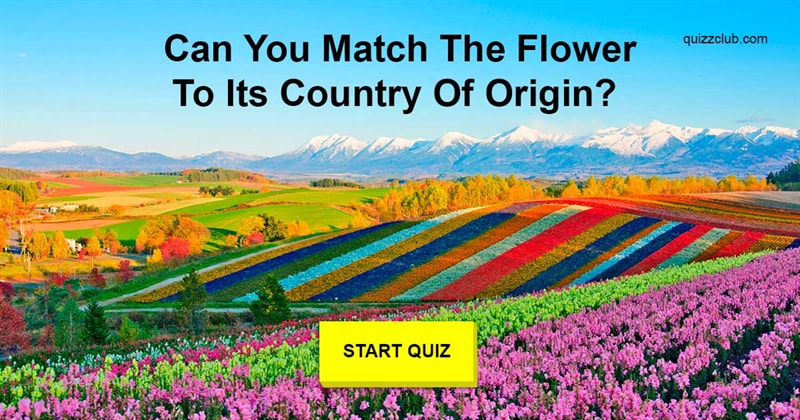 Nature Quiz Test: Can You Match The Flower To Its Country Of Origin?