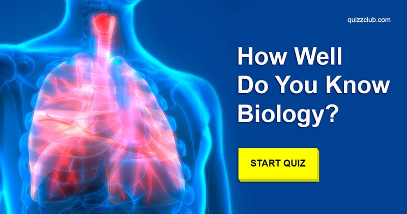 Science Quiz Test: Can You Pass A High School Biology Test?