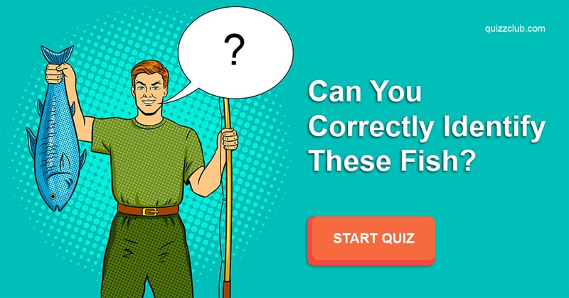animals Quiz Test: Can you correctly identify these fish?