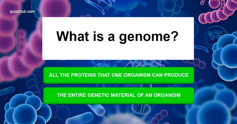 Science Quiz Test: Can You Pass This Difficult Science Quiz?