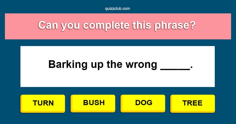 language Quiz Test: Can You Correctly Complete 27 Basic Phrases?