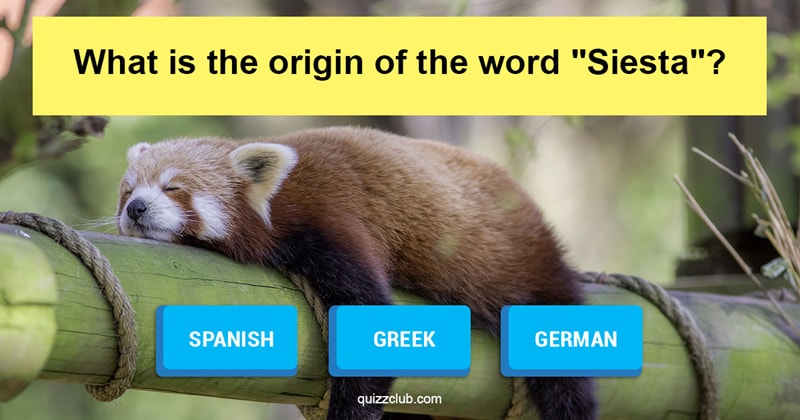language Quiz Test: Can You Correctly Name The Origin Of 10 Common Words?