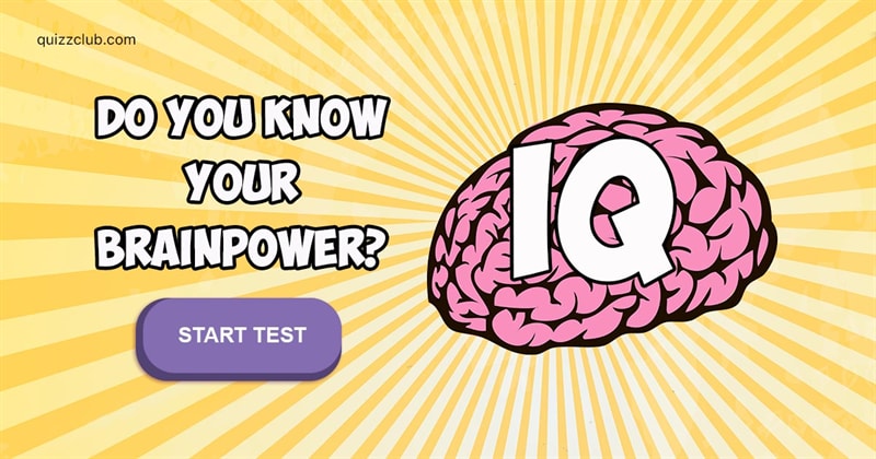 IQ Quiz Test: Can You Get A Perfect Score On This IQ Quiz?