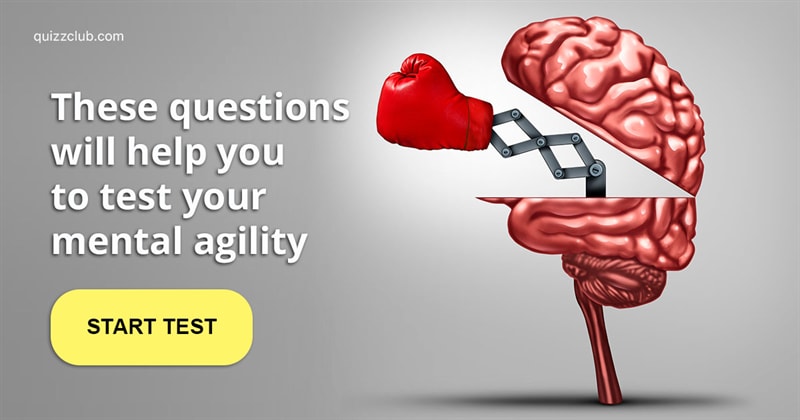 IQ Quiz Test: Test Your Mental Agility With 15 General Knowledge Questions