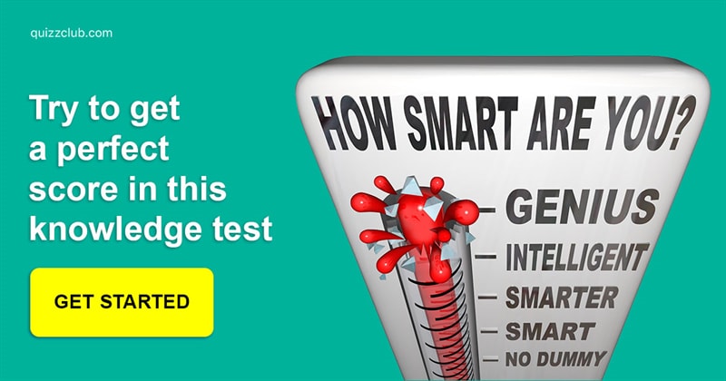 IQ Quiz Test: Do You Have What It Takes To Get A Perfect Score On This Mixed Knowledge Test?