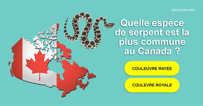 Nature Test quiz: À quel point connaissez-vous les serpents du Canada?