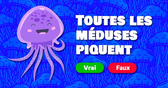 Nature Test quiz: Il est temps d'en savoir plus sur les méduses