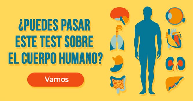 Сiencia Quiz Test: ¿Puedes pasar este test sobre el cuerpo humano?