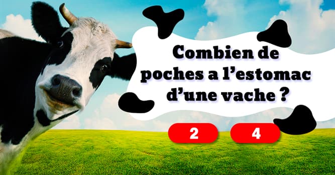 Société Test quiz: 10 questions pour tester vos connaissances sur les vaches