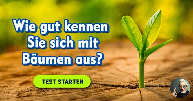 Das BaumQuiz WissensQuiz