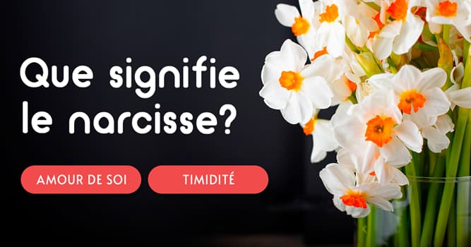 Culture Test quiz: Parlez-vous le langage des fleurs ?