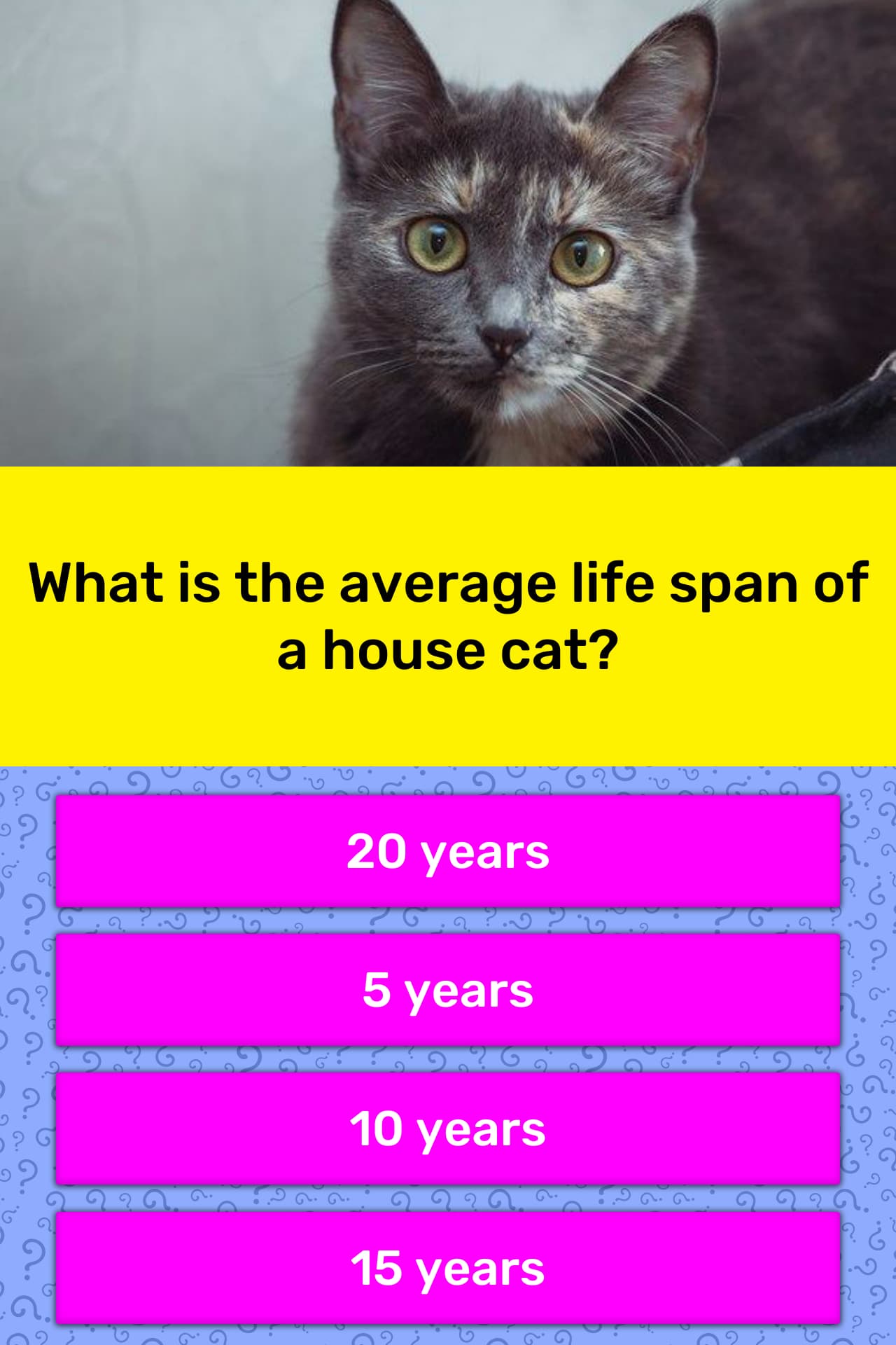 what-is-the-average-life-span-of-a-trivia-questions-quizzclub