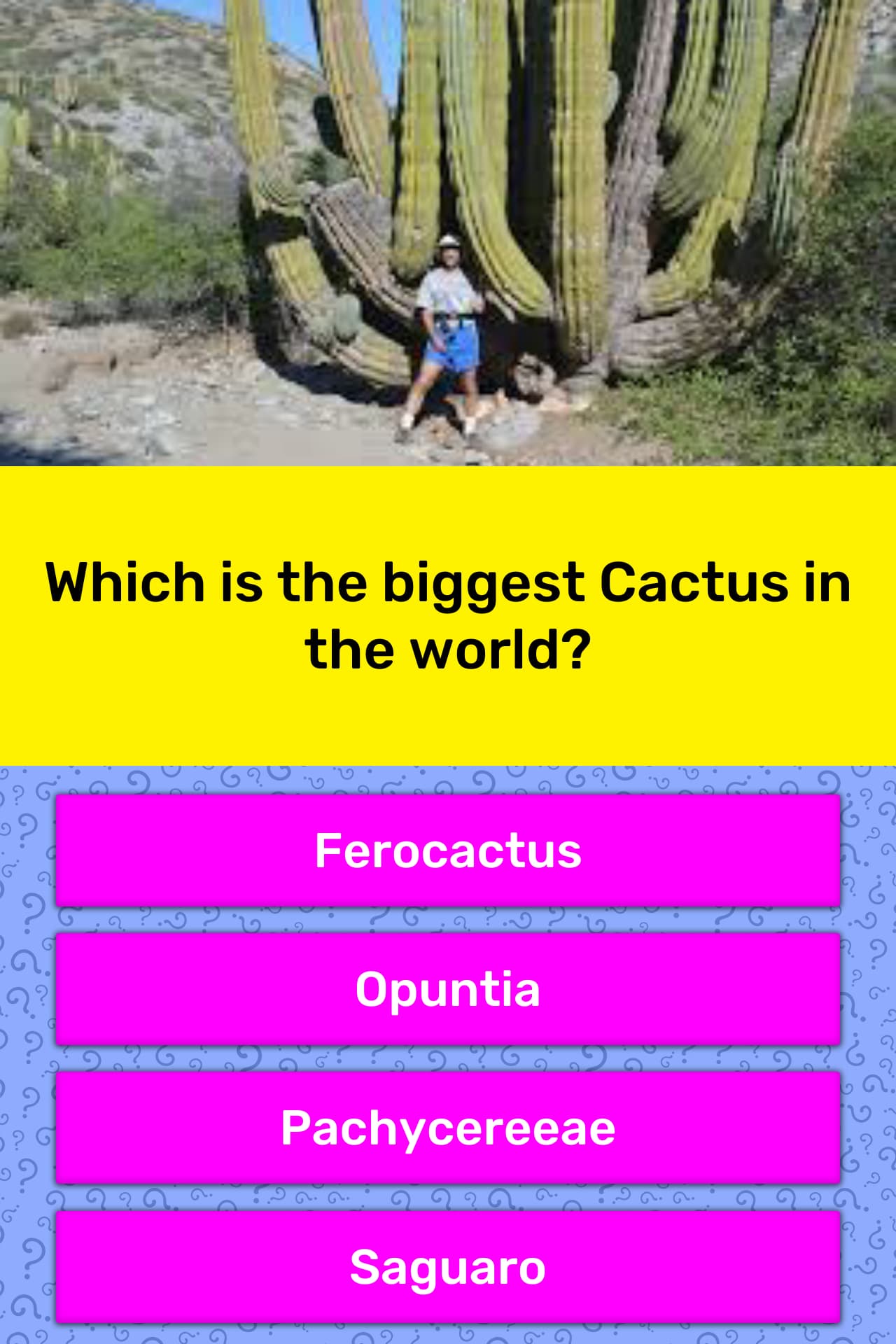 Which Is The Biggest Cactus In The Trivia Answers Quizzclub