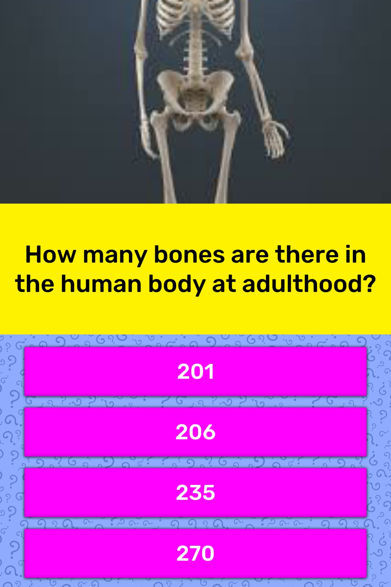 how-many-bones-are-there-in-the-trivia-questions-quizzclub