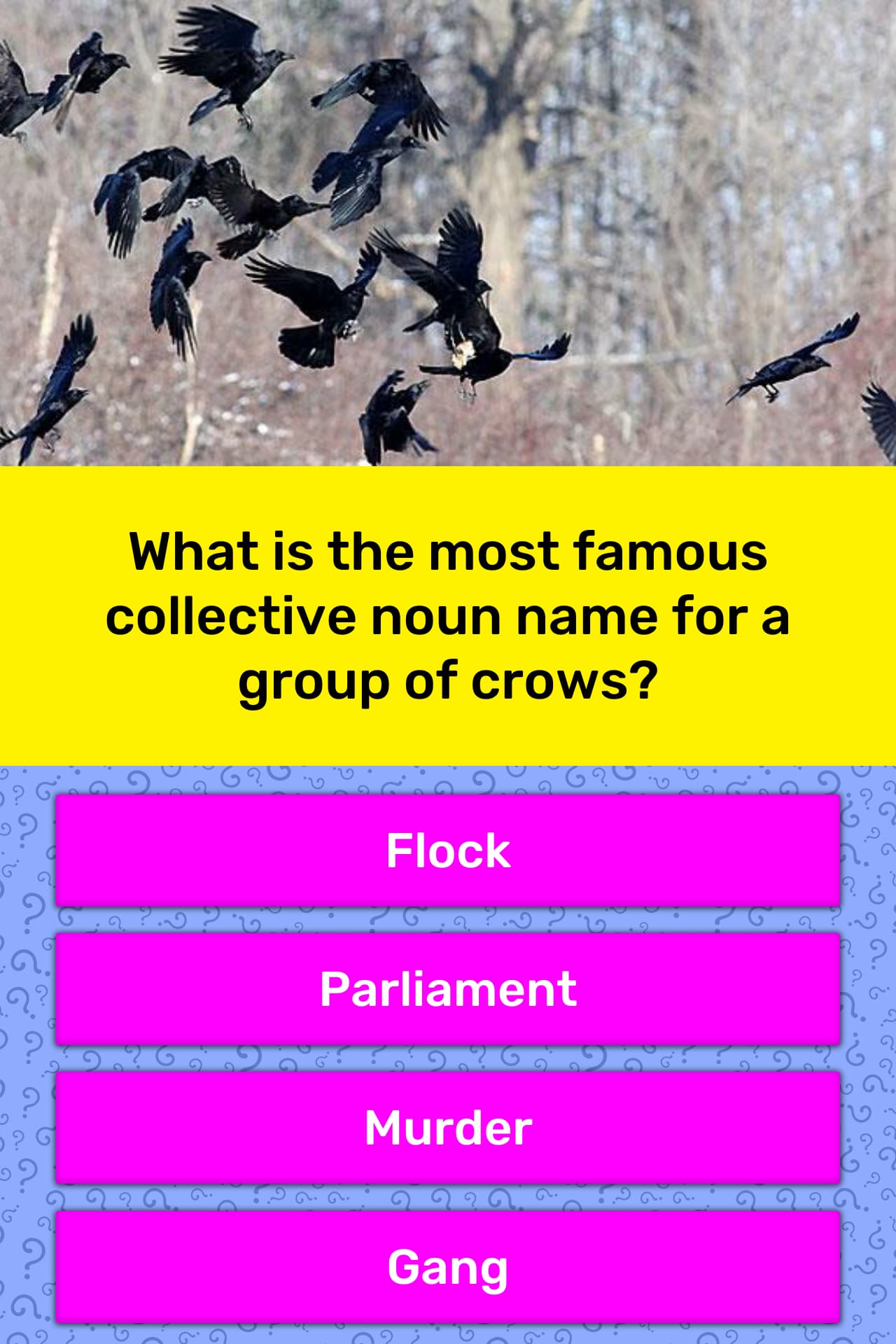 What Is The Most Famous Collective Trivia Questions Quizzclub