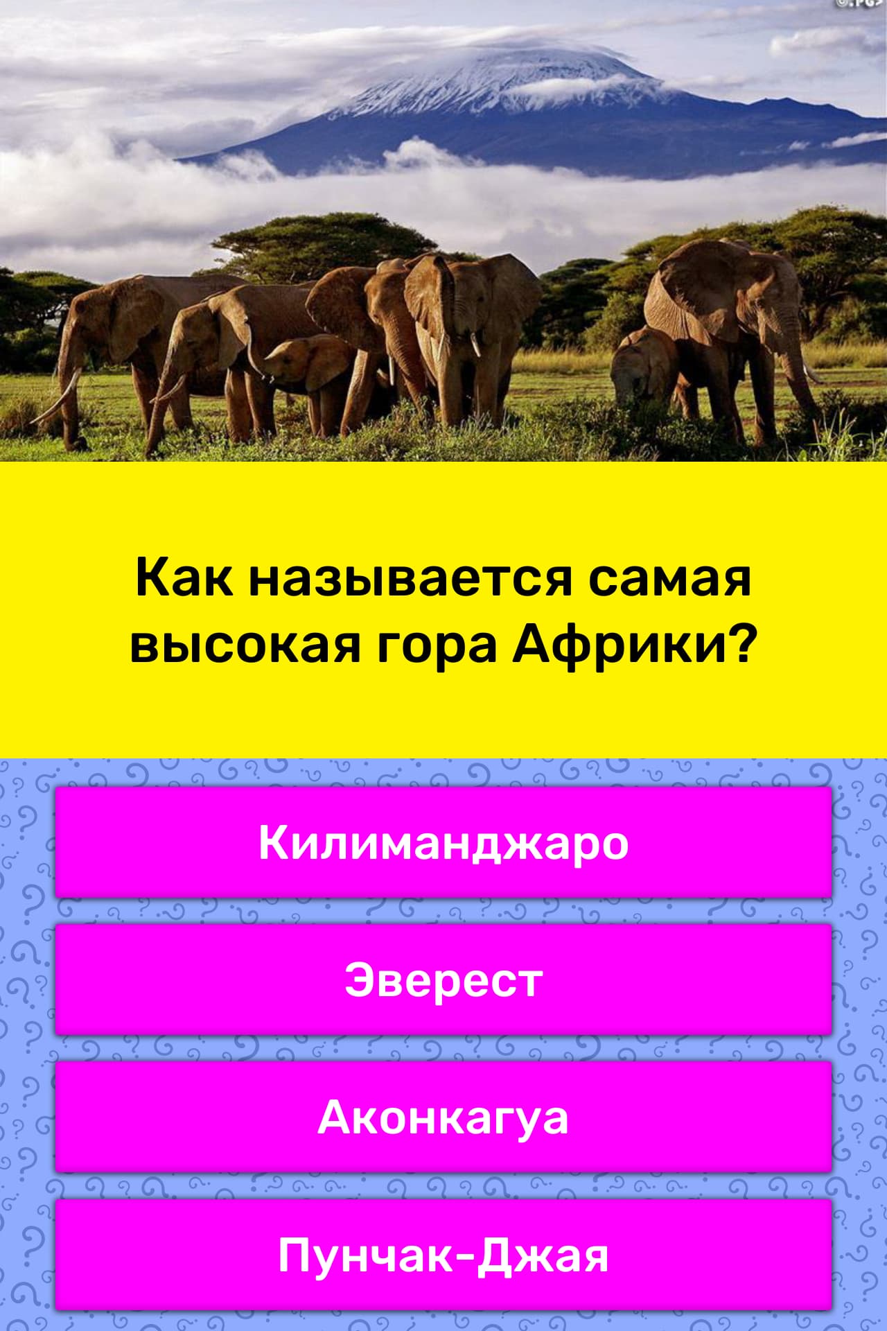 Как называется самый. Назовите самую высокую точку Африки. Высшая точка Африки и ее высота. Самая высокая гора в Африке название. Наивысшая точка Африки и ее высота.