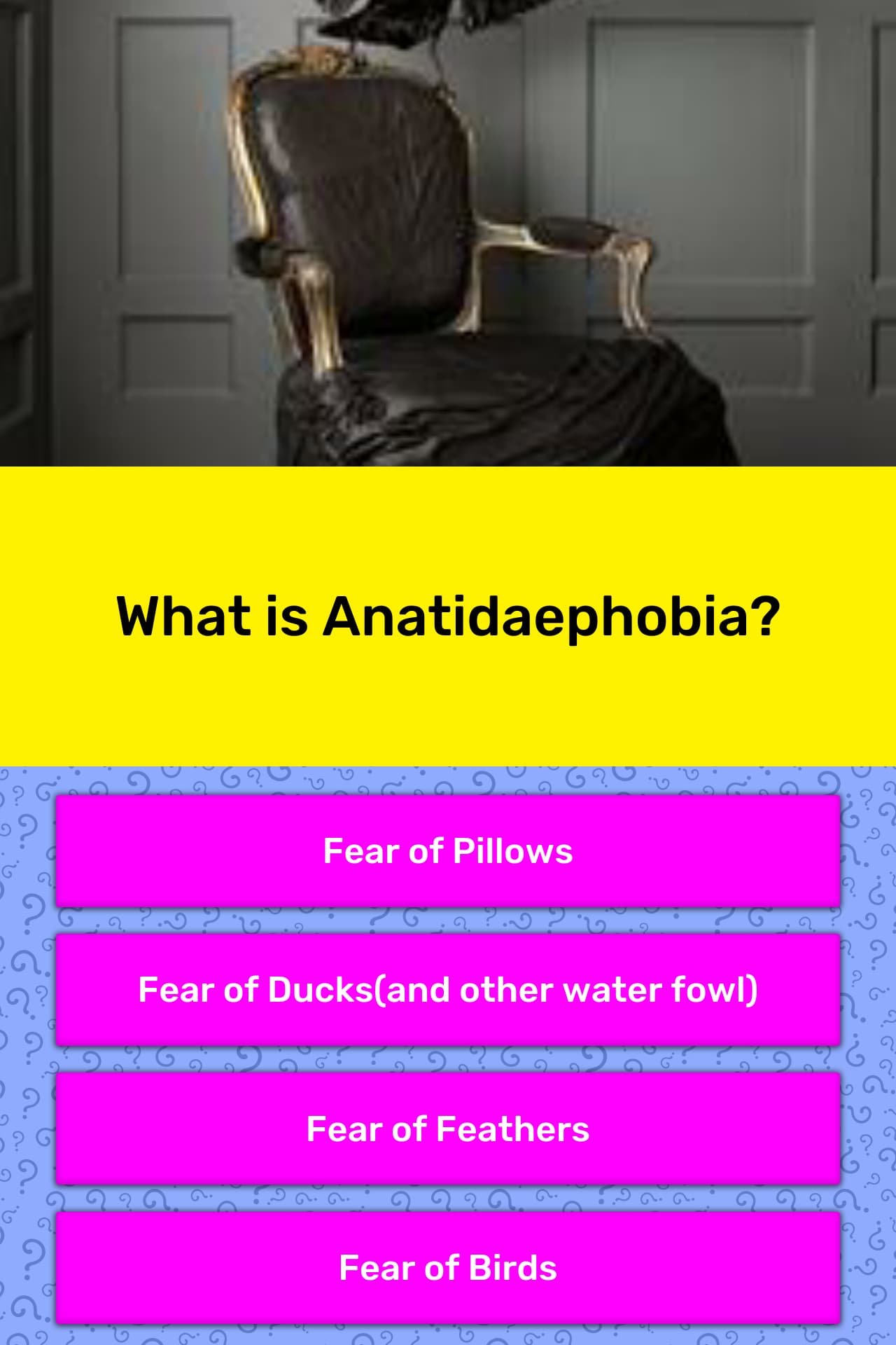 What is Anatidaephobia? Trivia Answers