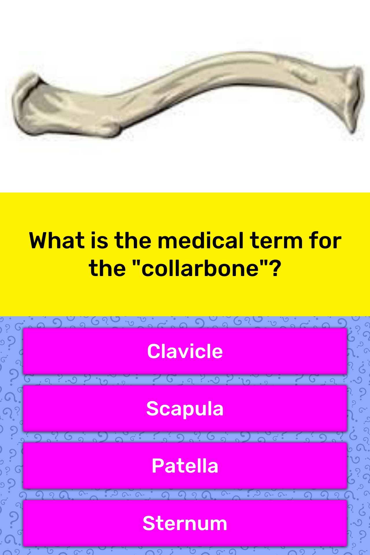 what-is-the-medical-term-for-the-trivia-answers-quizzclub