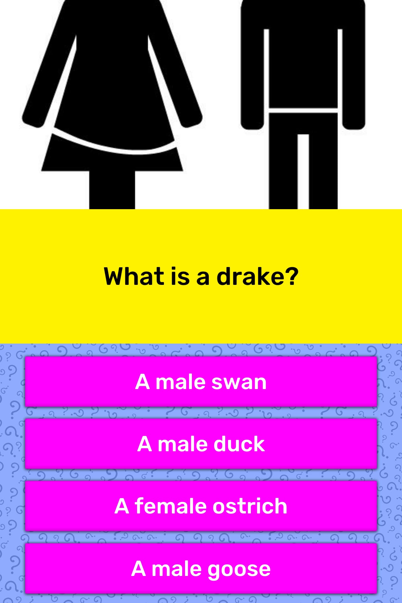 What Is A Drake Trivia Answers Quizzclub