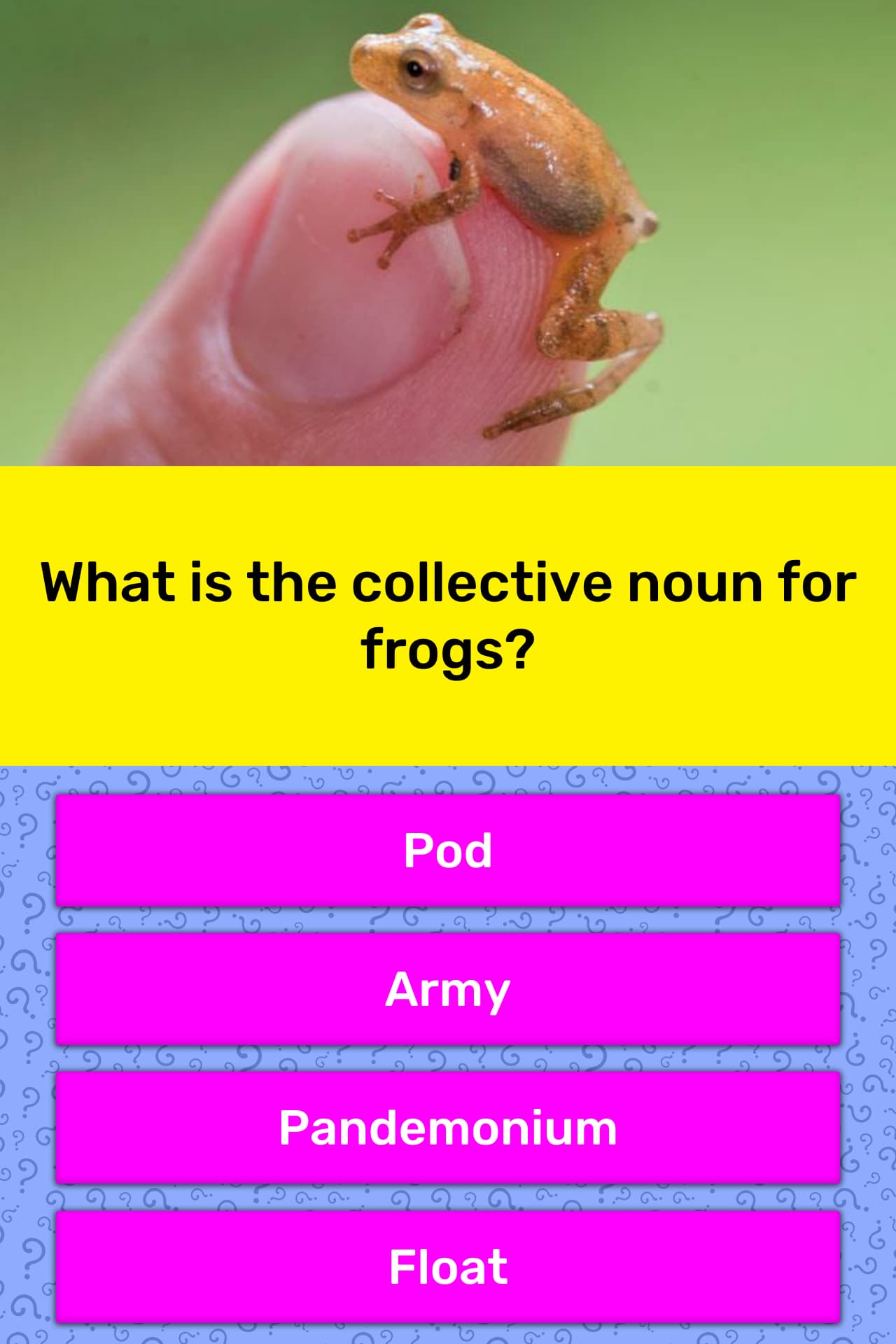 What is the collective noun for frogs? Trivia Answers